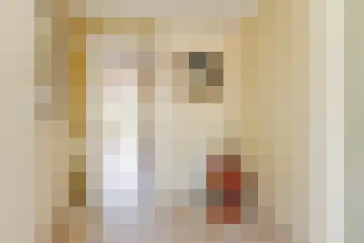 't Kerkestuk 109 Reeuwijk thumbnail 5