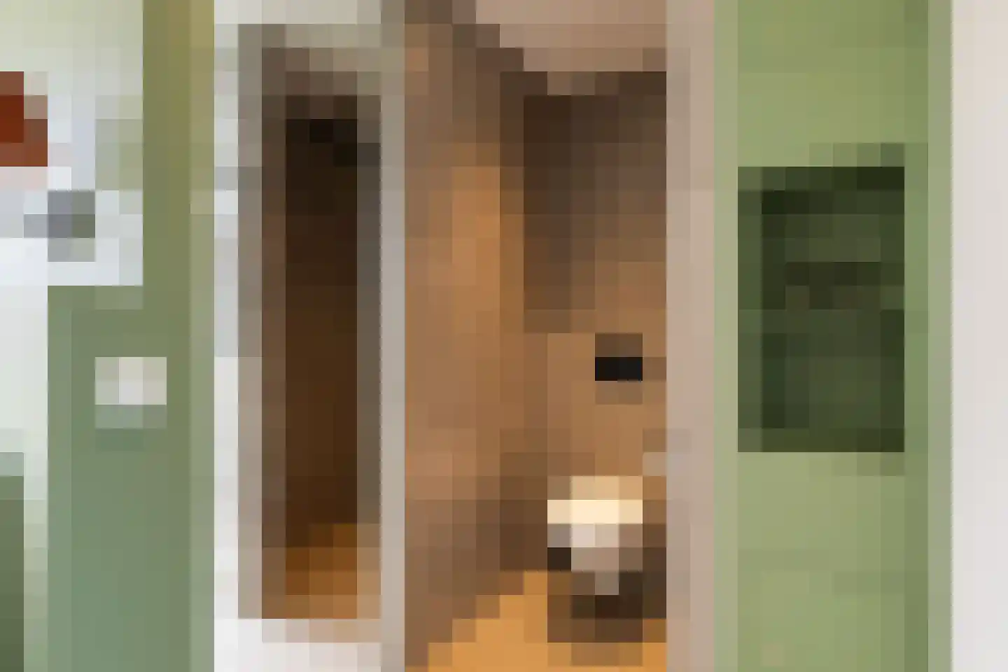 't Kerkestuk 11 Reeuwijk thumbnail 42