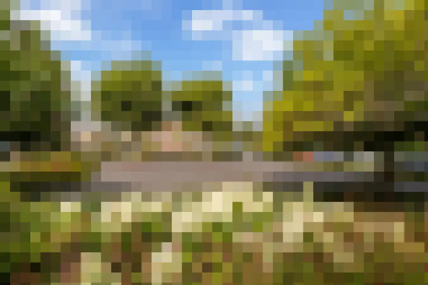 't Kerkestuk 11 Reeuwijk thumbnail 63