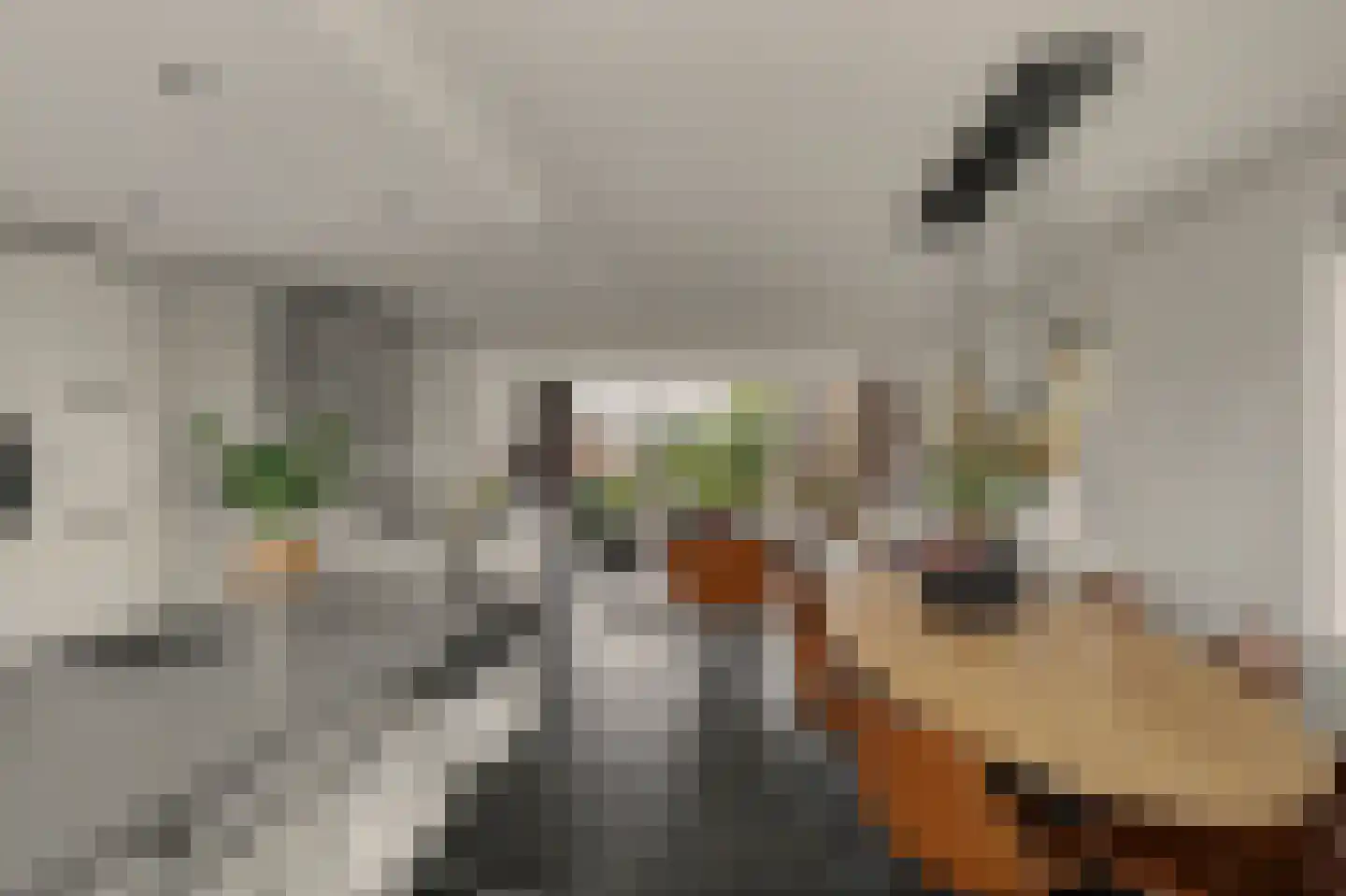 't Kerkestuk 43 Reeuwijk thumbnail 16