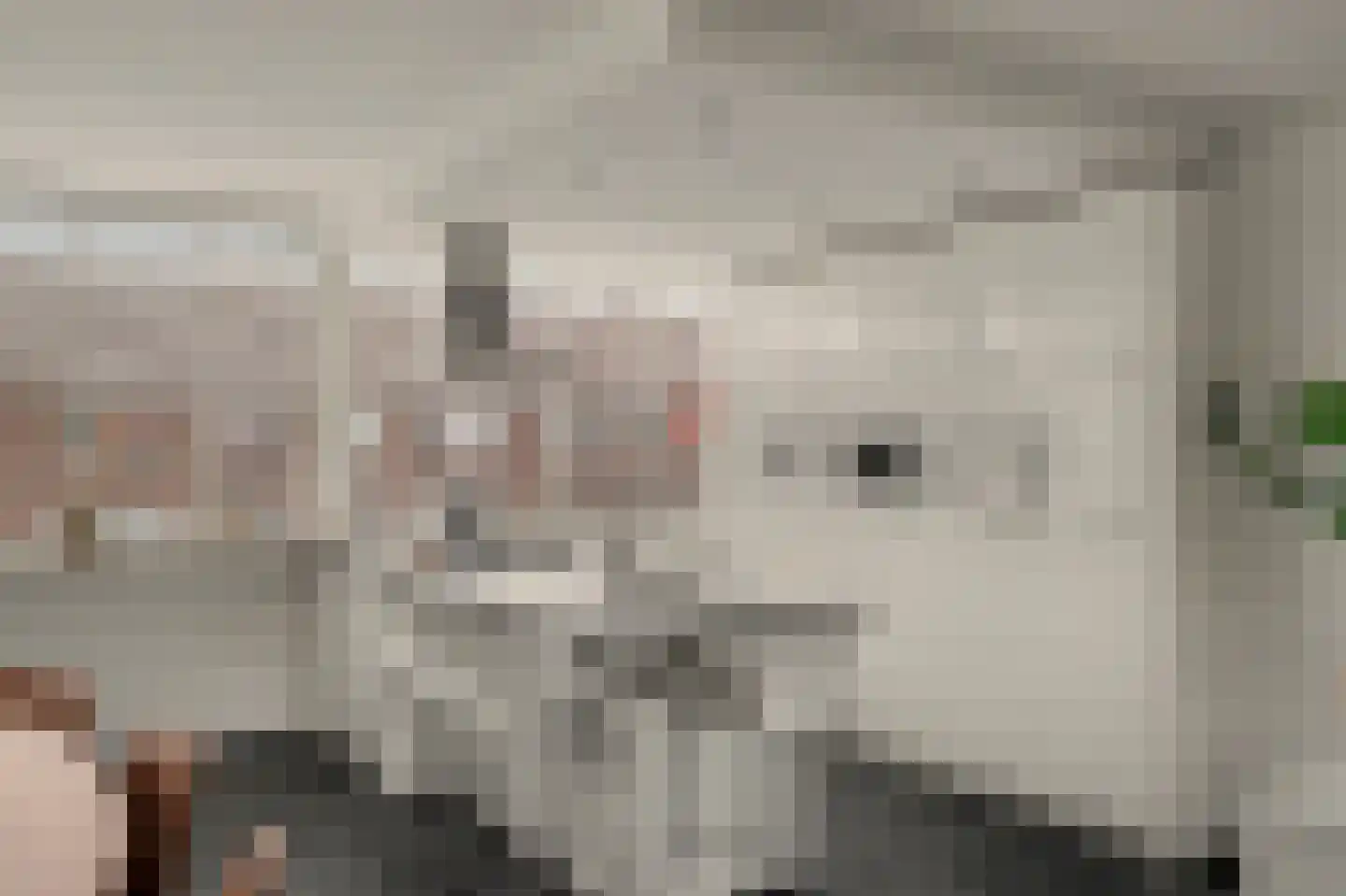 't Kerkestuk 43 Reeuwijk thumbnail 18