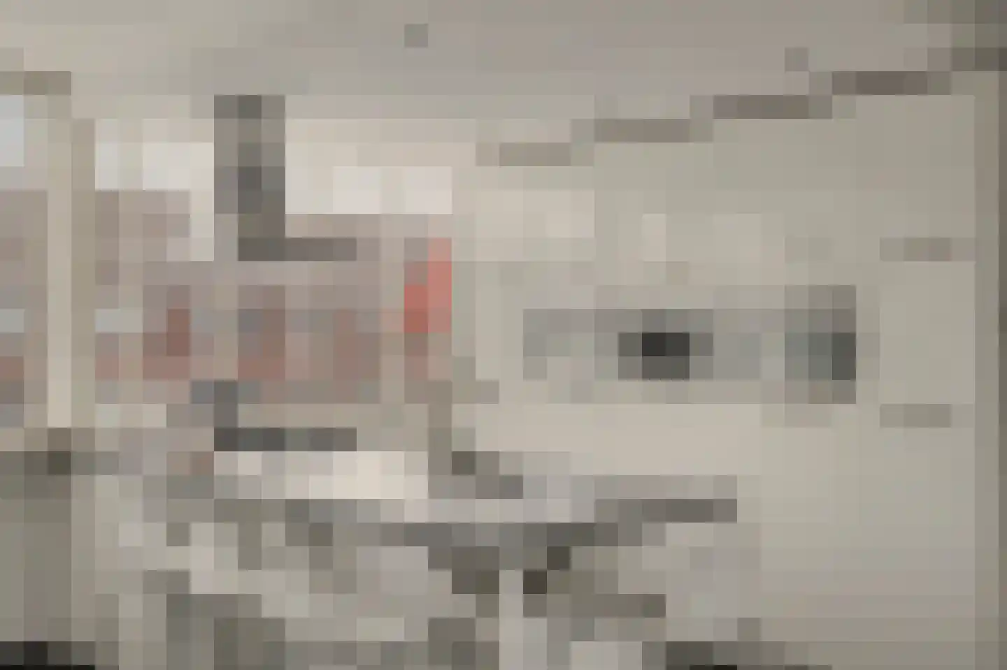 't Kerkestuk 43 Reeuwijk thumbnail 19