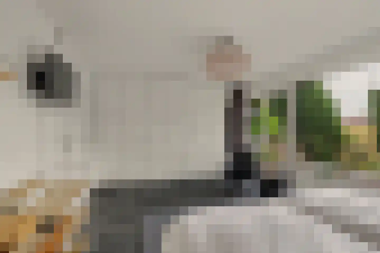 't Kerkestuk 43 Reeuwijk thumbnail 34