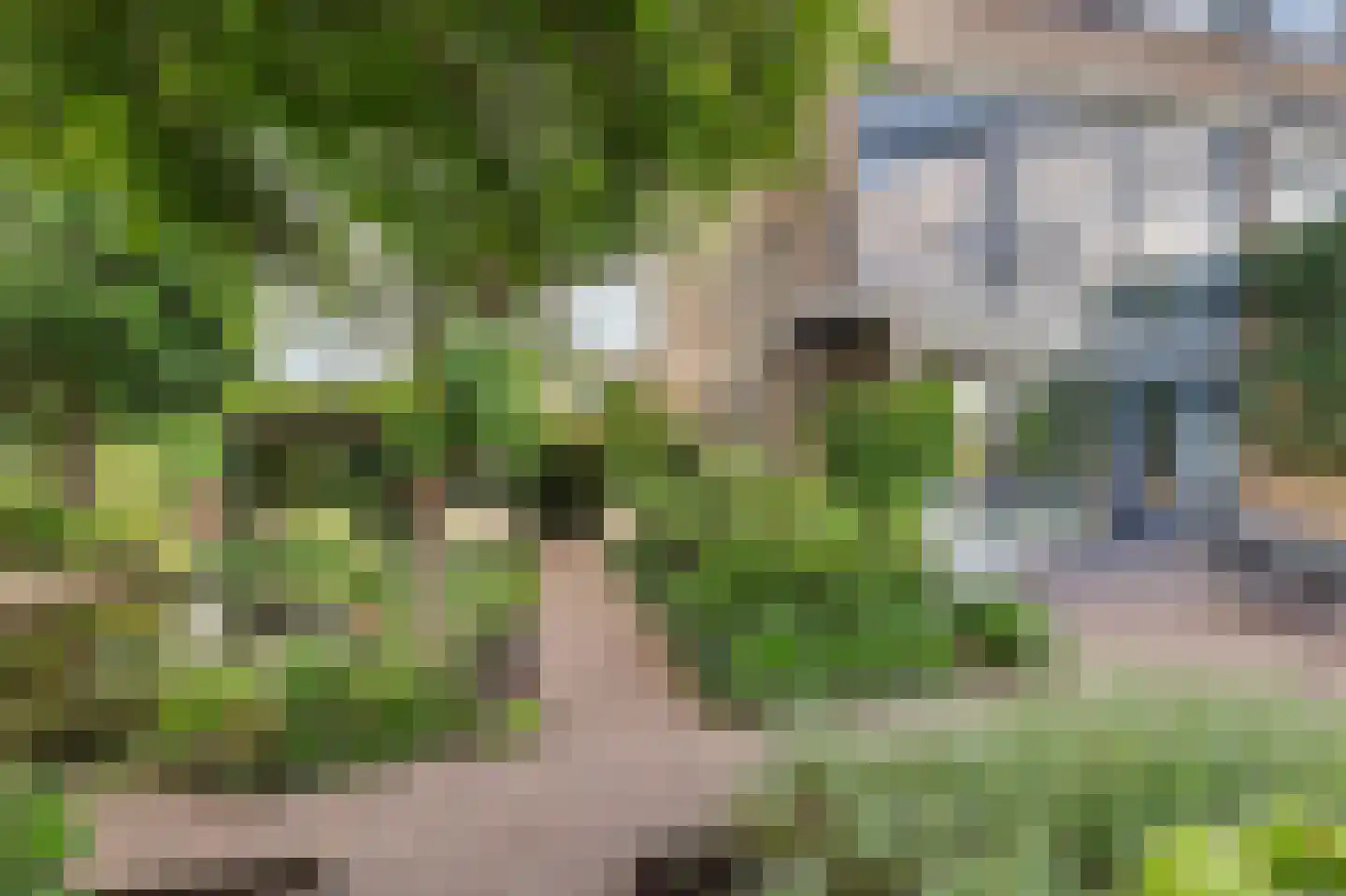't Kerkestuk 43 Reeuwijk thumbnail 41