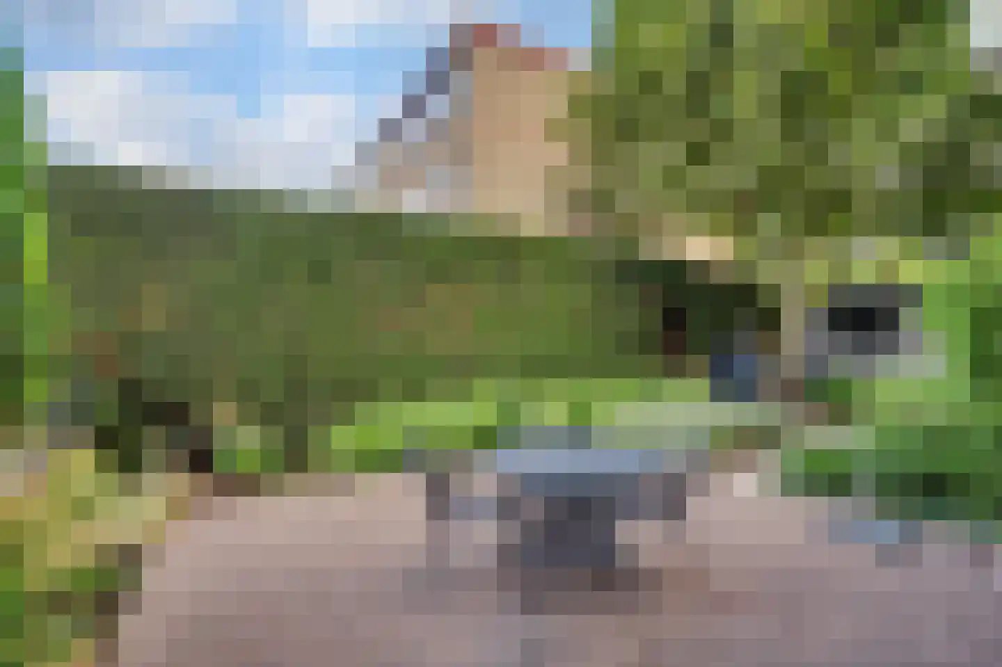 't Kerkestuk 43 Reeuwijk thumbnail 44