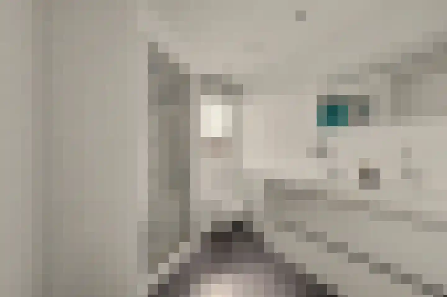 't Kerkestuk 43 Reeuwijk thumbnail 5
