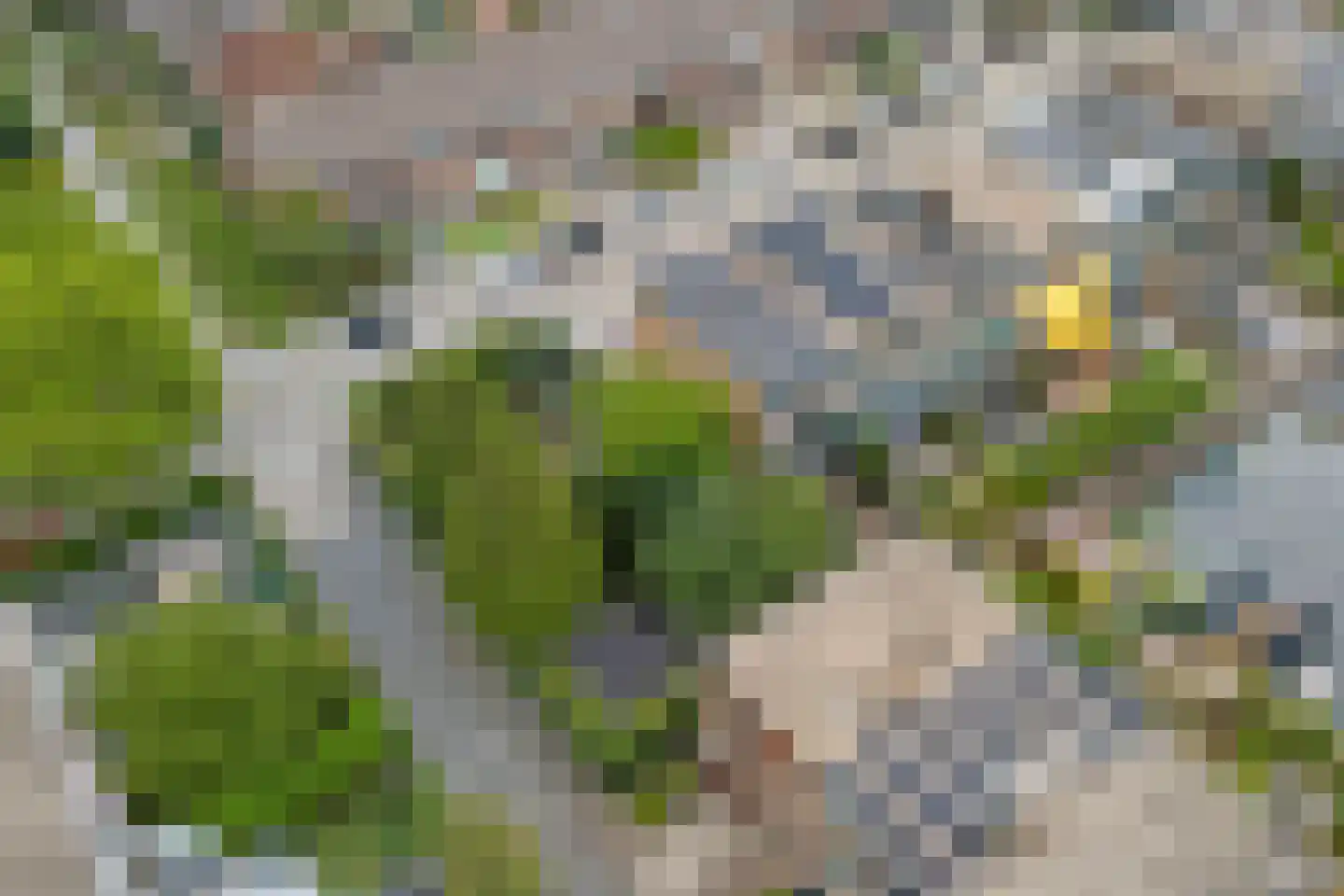 't Kerkestuk 43 Reeuwijk thumbnail 51