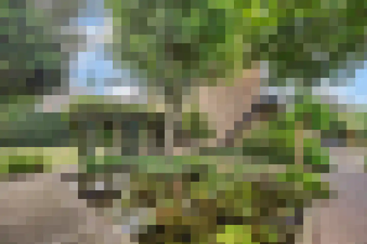 't Kerkestuk 43 Reeuwijk thumbnail 6