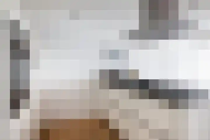 't Kerkestuk 5 Reeuwijk thumbnail 16