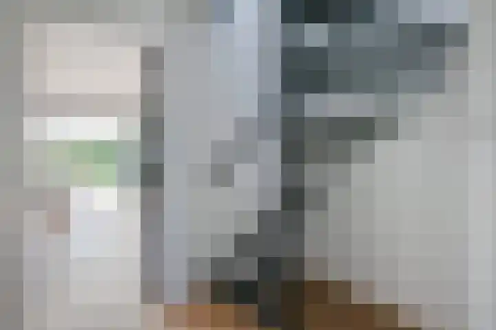 't Kerkestuk 5 Reeuwijk thumbnail 21