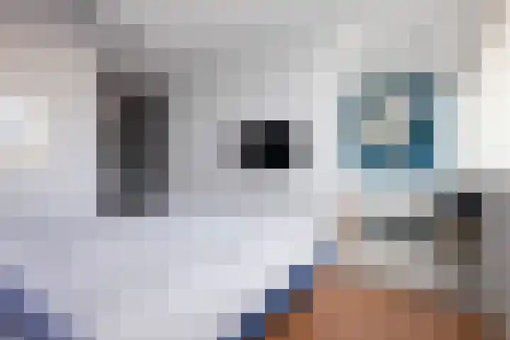't Kerkestuk 5 Reeuwijk thumbnail 25