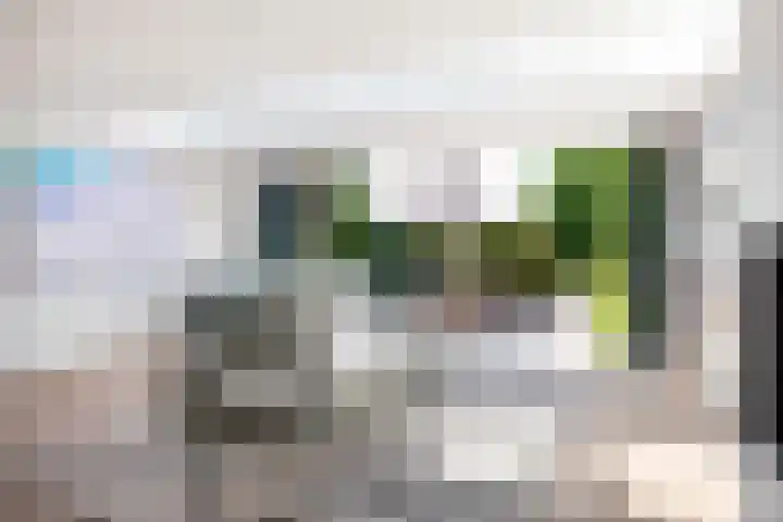 't Kerkestuk 5 Reeuwijk thumbnail 4