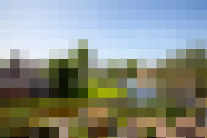 't Kerkestuk 5 Reeuwijk thumbnail 47