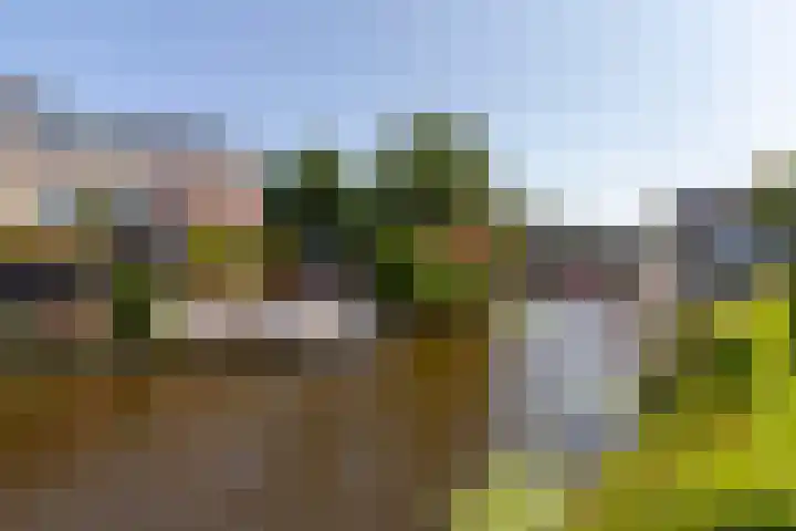 't Kerkestuk 5 Reeuwijk thumbnail 58