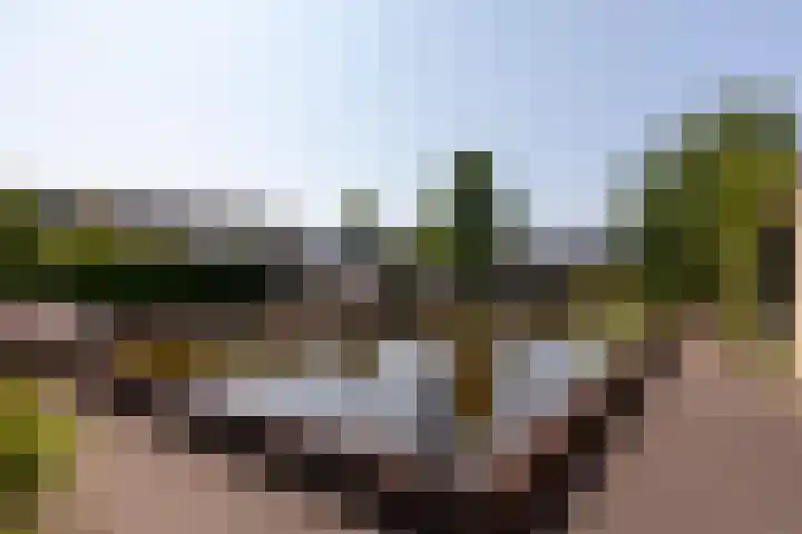 't Kerkestuk 5 Reeuwijk thumbnail 59