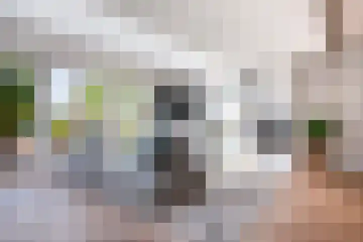 't Kerkestuk 5 Reeuwijk thumbnail 8