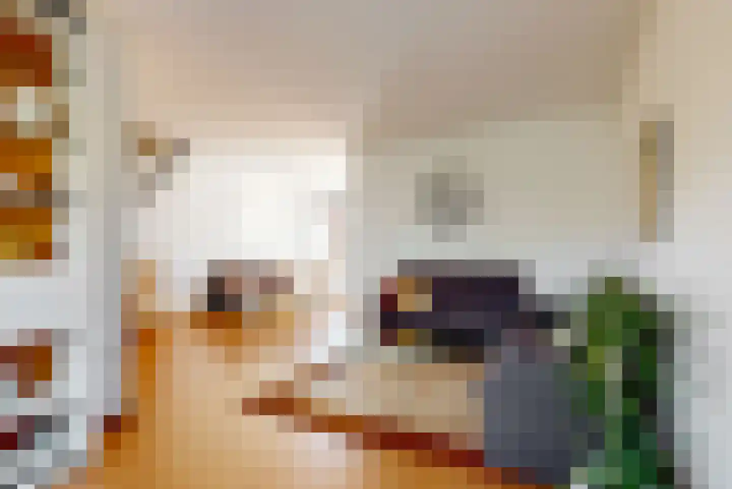 't Kieftenland 2 Limmen thumbnail 10