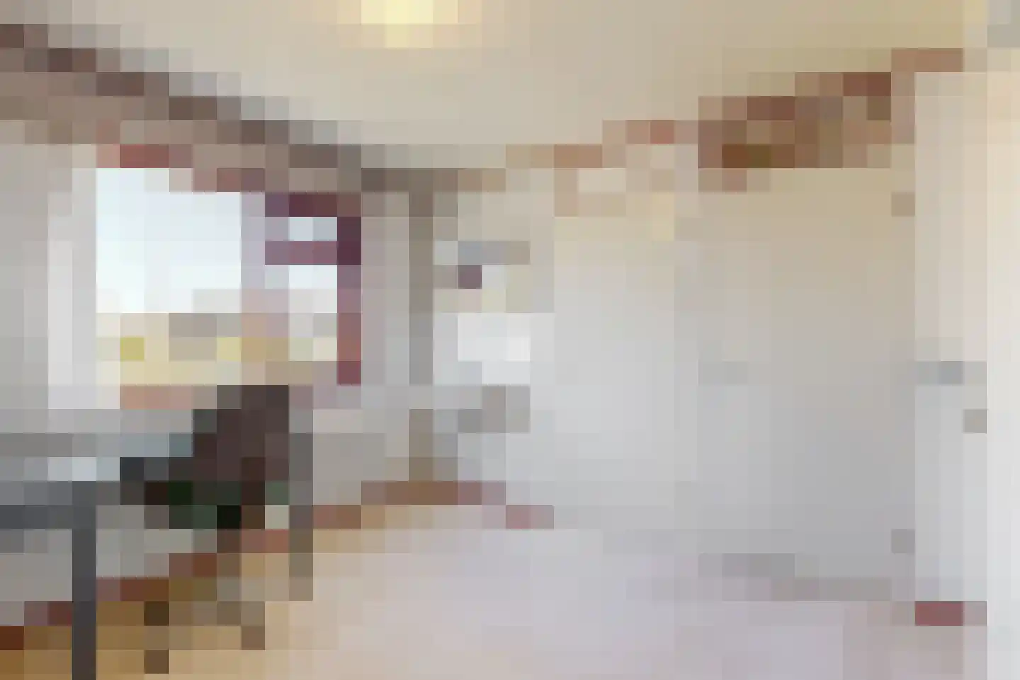 't Kieftenland 2 Limmen thumbnail 27
