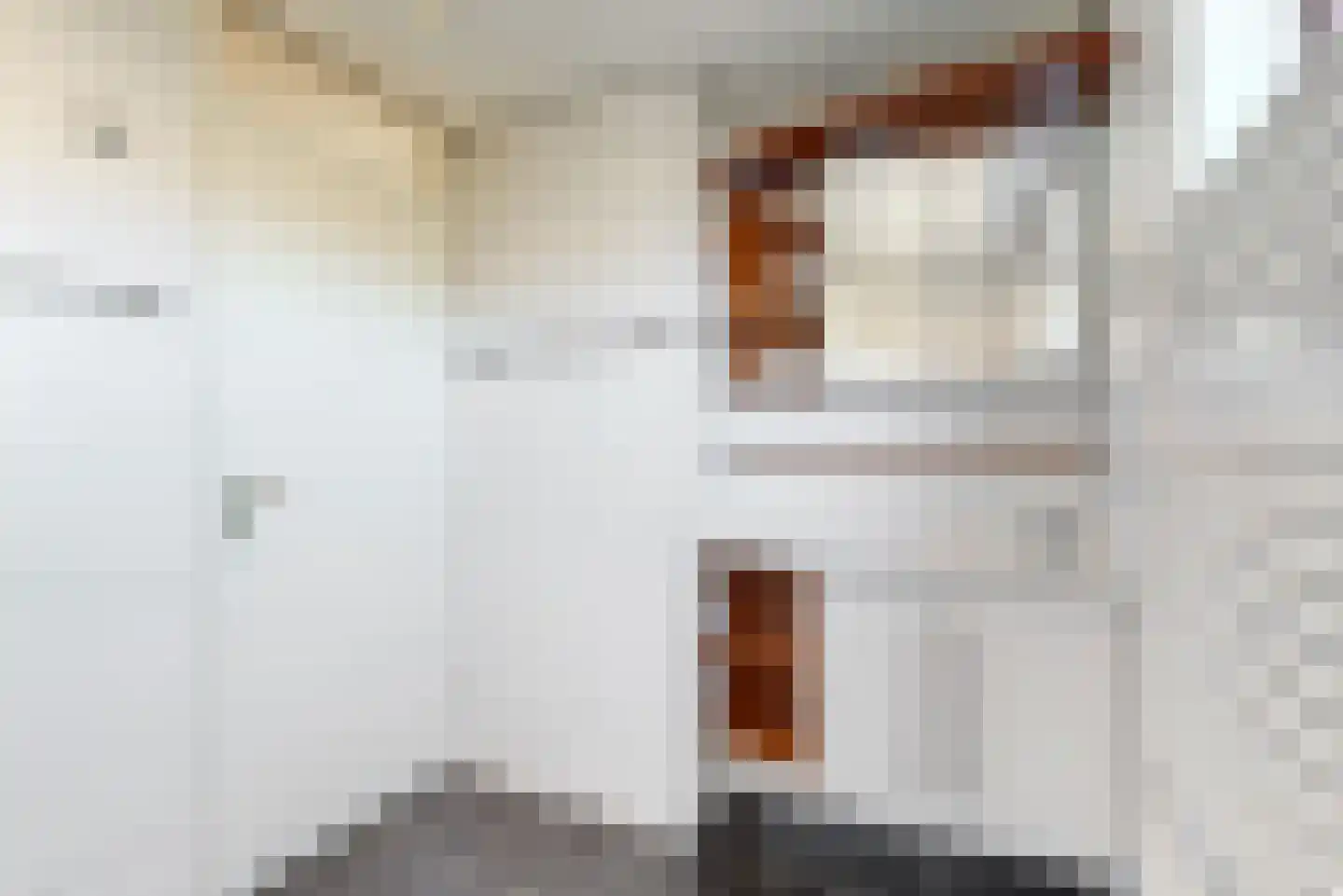 't Kieftenland 2 Limmen thumbnail 29