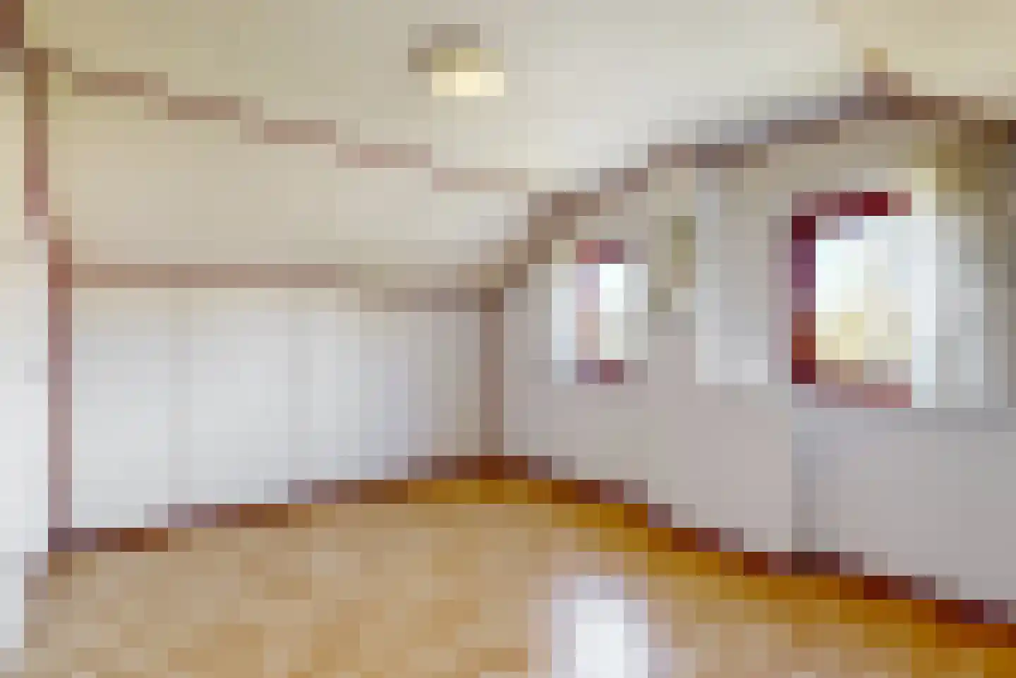 't Kieftenland 2 Limmen thumbnail 34