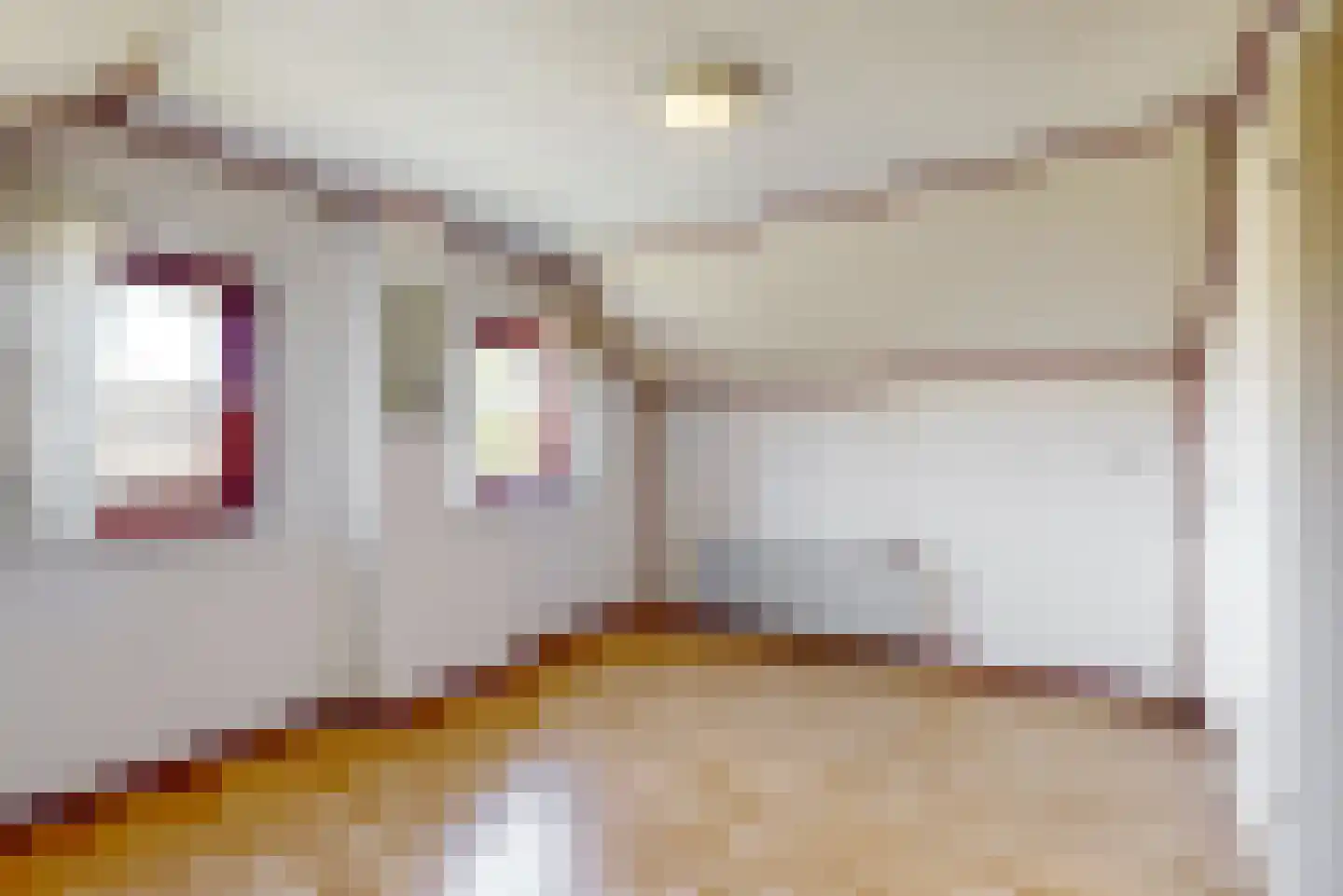 't Kieftenland 2 Limmen thumbnail 35