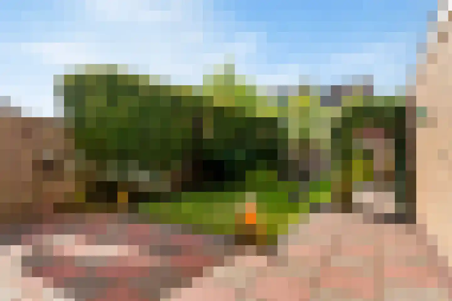 't Kieftenland 2 Limmen thumbnail 4