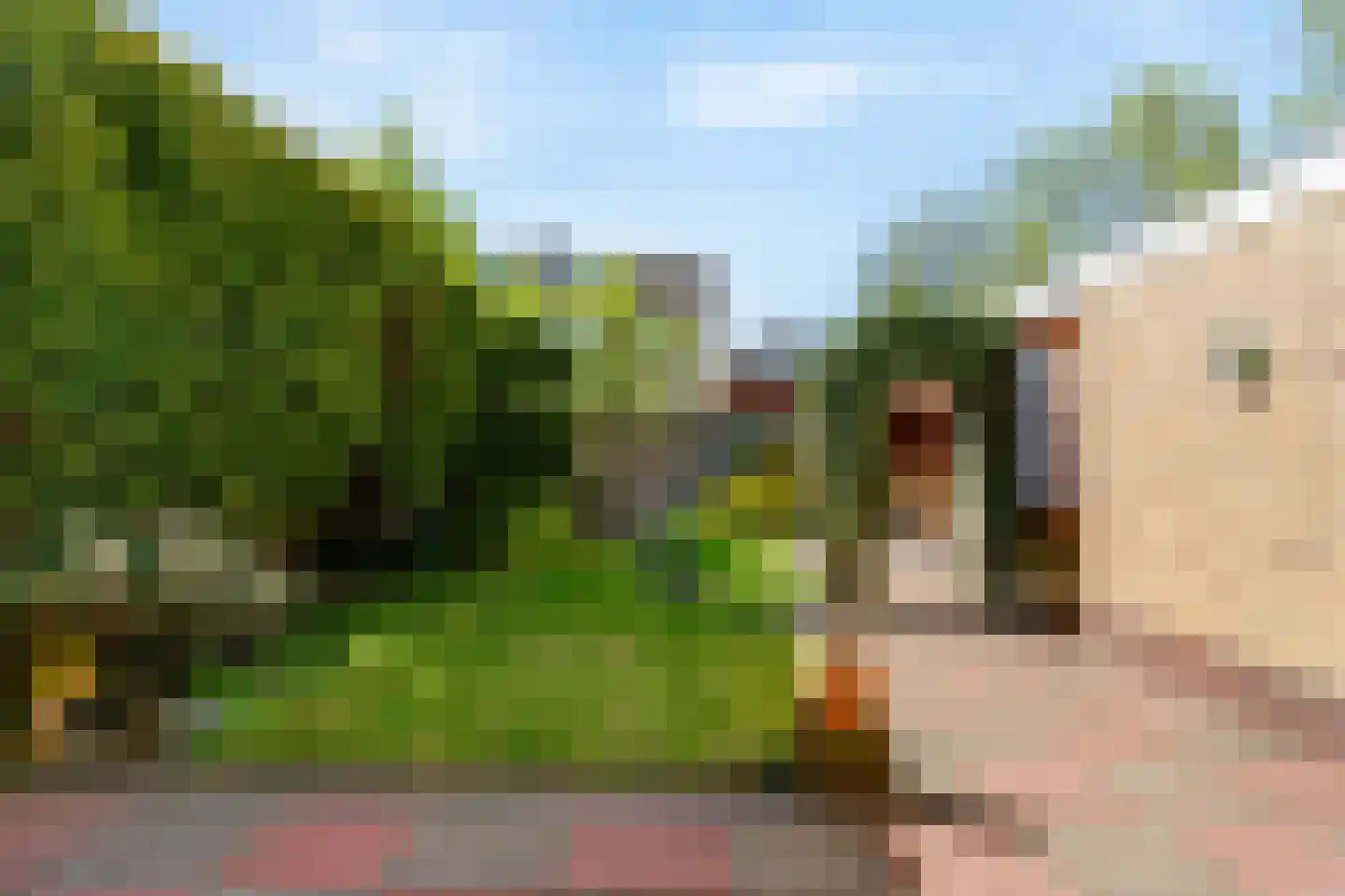 't Kieftenland 2 Limmen thumbnail 40