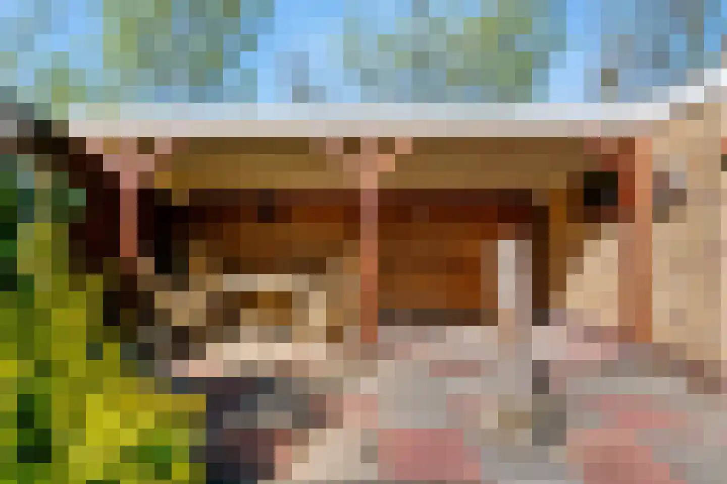't Kieftenland 2 Limmen thumbnail 41