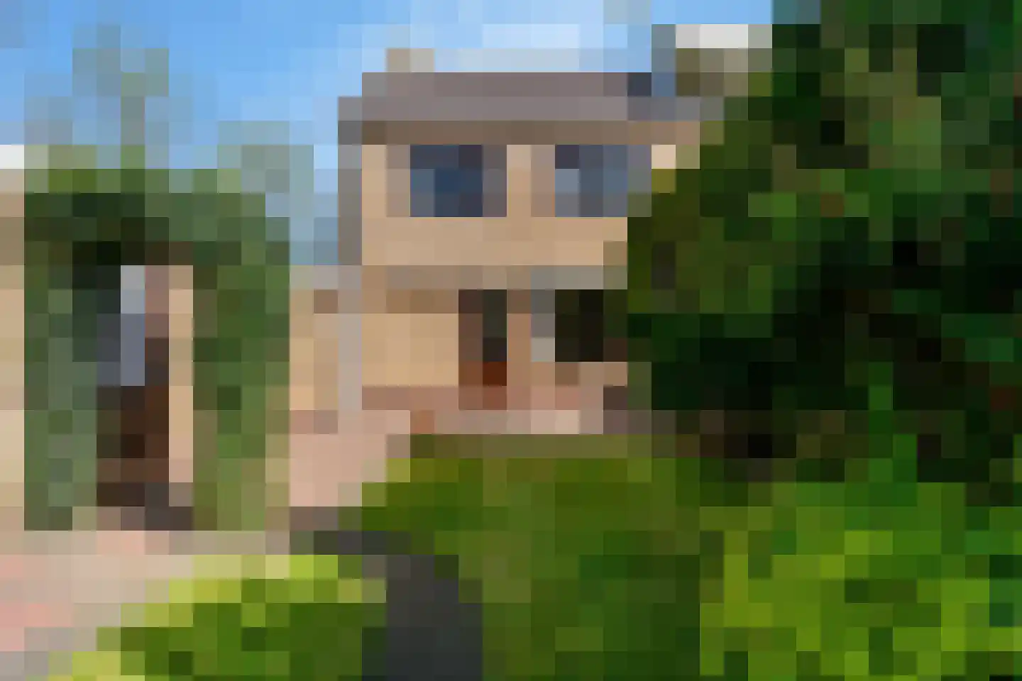 't Kieftenland 2 Limmen thumbnail 42