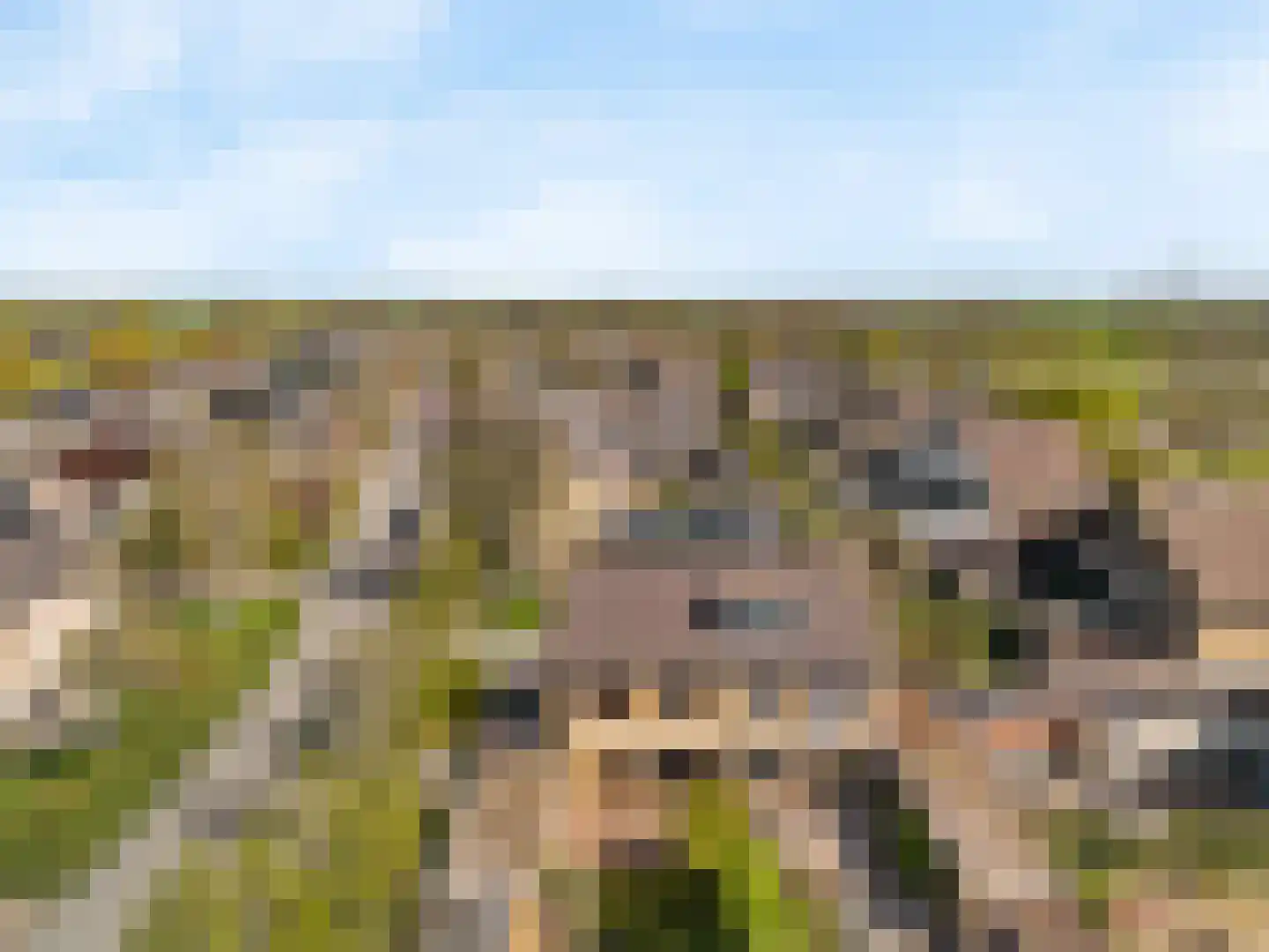't Kieftenland 2 Limmen thumbnail 45