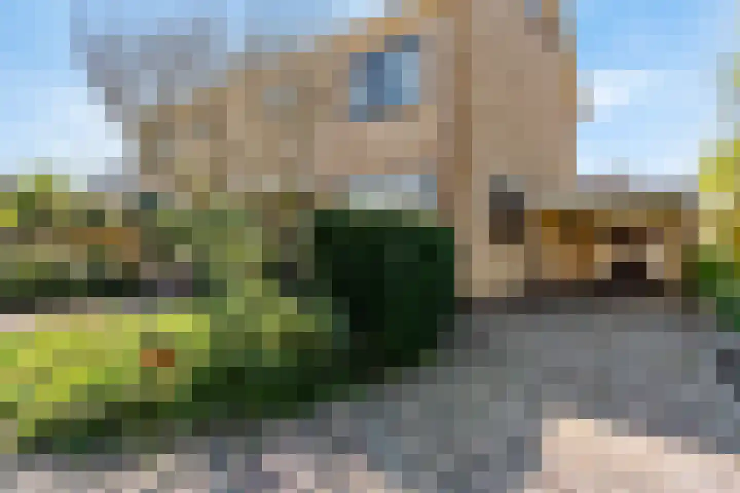 't Kieftenland 2 Limmen thumbnail 7