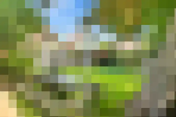 't Kieftenland 50 Limmen thumbnail 4
