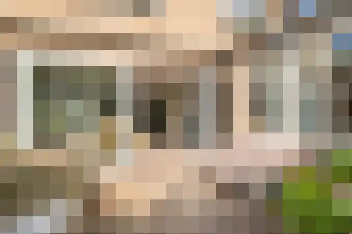 't Kieftenland 50 Limmen thumbnail 43