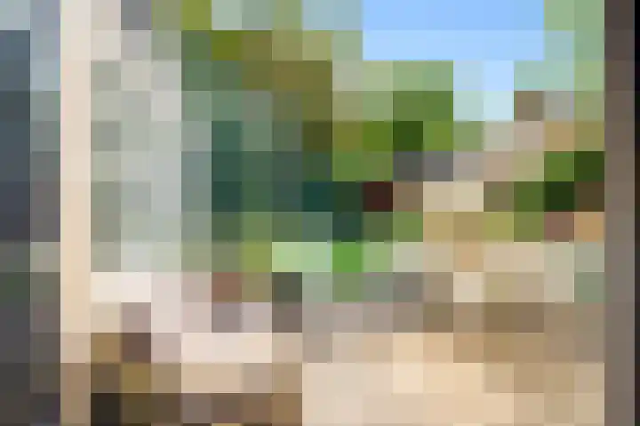 't Kieftenland 50 Limmen thumbnail 44