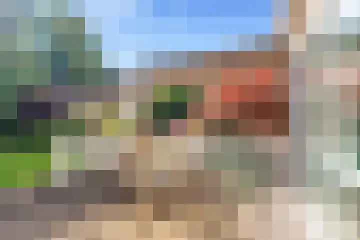 't Kieftenland 50 Limmen thumbnail 45