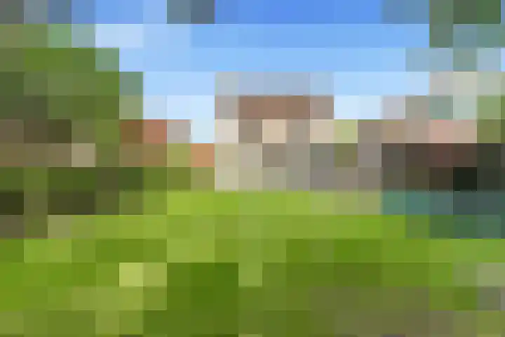 't Kieftenland 50 Limmen thumbnail 47