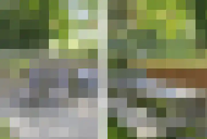 't Kieftenland 50 Limmen thumbnail 49
