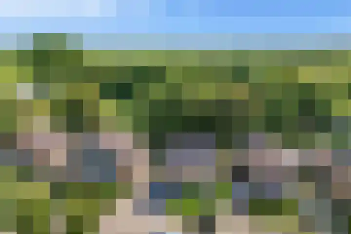 't Kieftenland 50 Limmen thumbnail 5