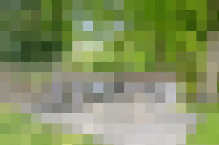 't Kieftenland 50 Limmen thumbnail 50