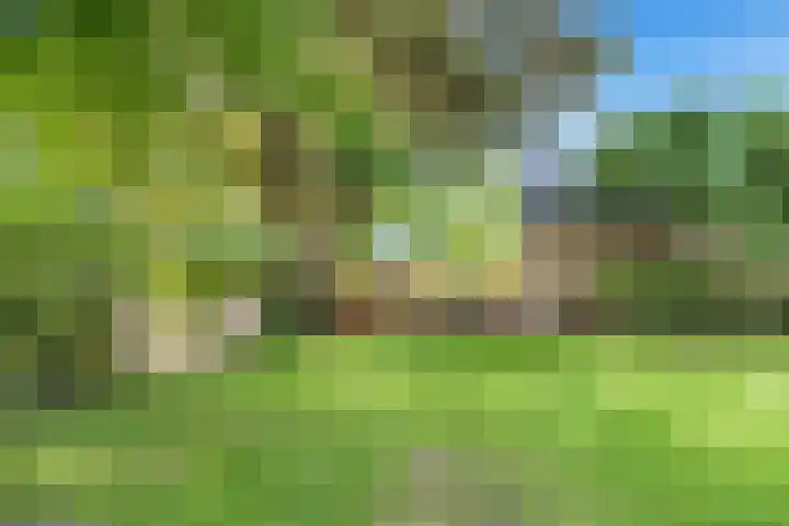 't Kieftenland 50 Limmen thumbnail 52