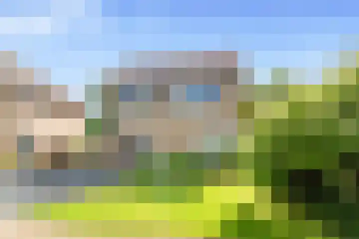 't Kieftenland 50 Limmen thumbnail 55