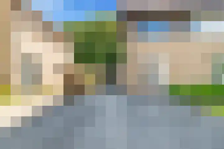 't Kieftenland 50 Limmen thumbnail 7