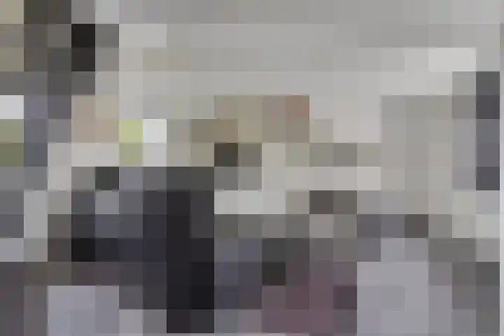 't Killetje 6 Breskens thumbnail 10