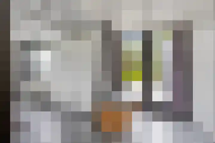't Killetje 6 Breskens thumbnail 11