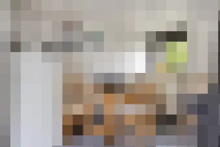't Killetje 6 Breskens thumbnail 12