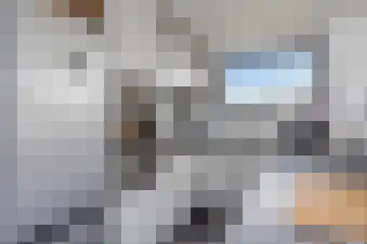 't Killetje 6 Breskens thumbnail 13