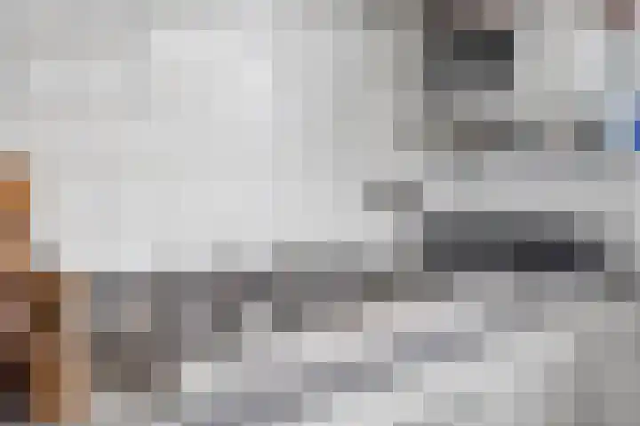 't Killetje 6 Breskens thumbnail 14