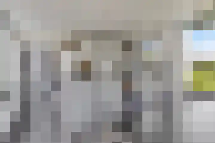 't Killetje 6 Breskens thumbnail 15