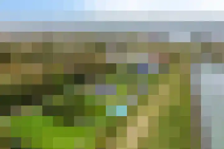 't Killetje 6 Breskens foto 2