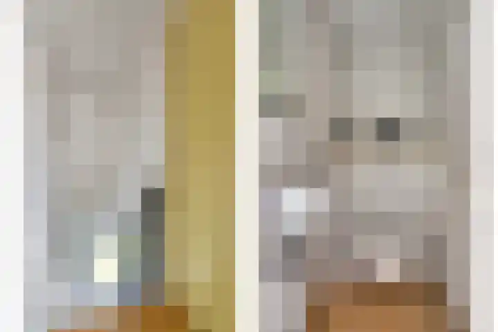't Killetje 6 Breskens thumbnail 21